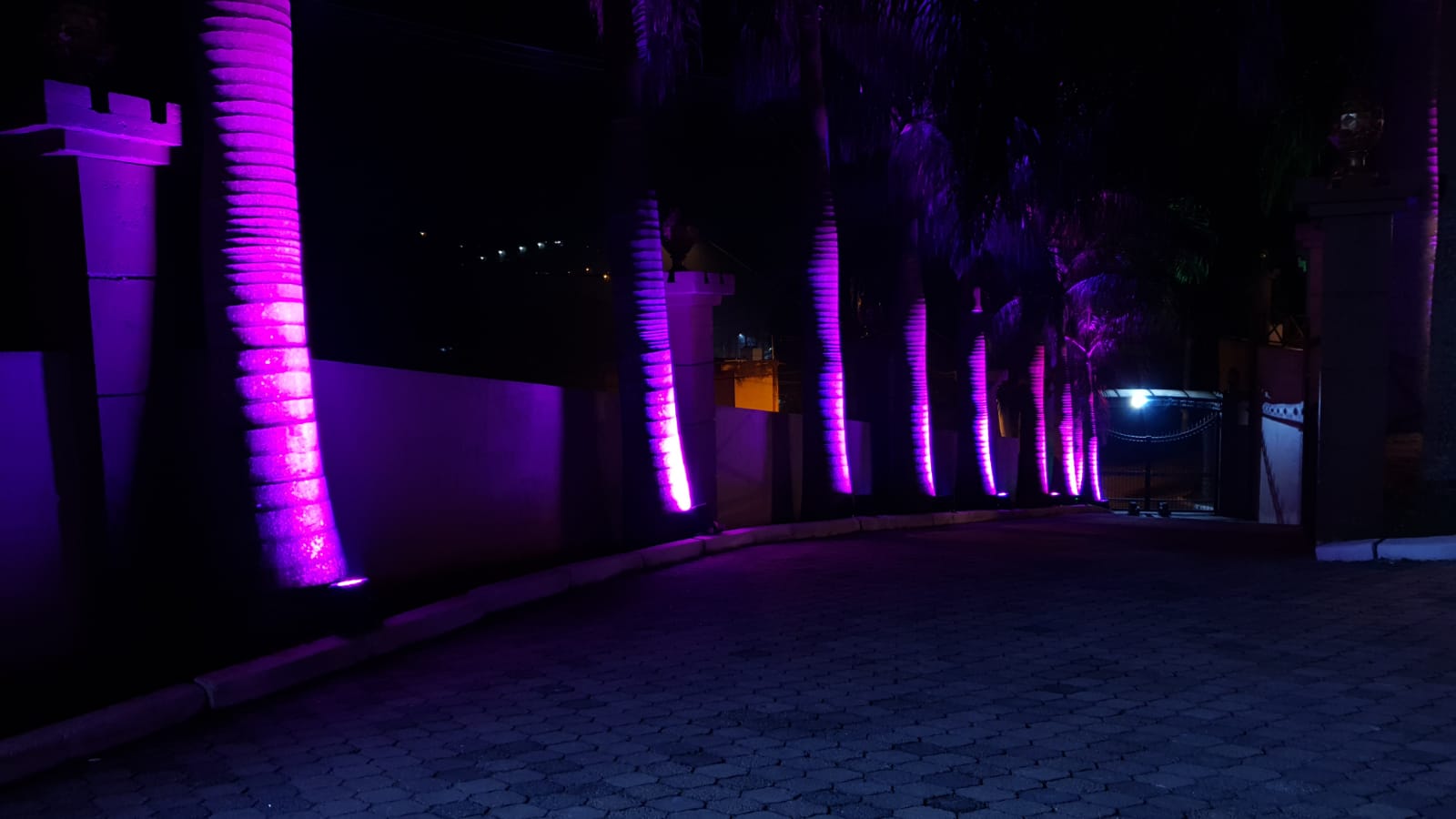 WhatsApp Image 2022-05-01 at 18.57.56 (2).jpeg