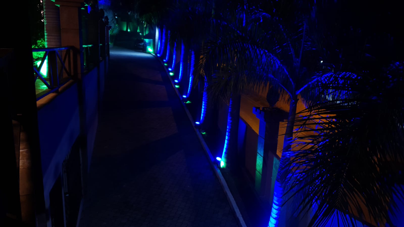 WhatsApp Image 2022-05-01 at 18.57.56 (3).jpeg