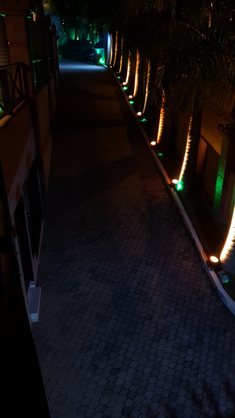 WhatsApp Image 2022-05-01 at 18.57.56 (1).jpeg