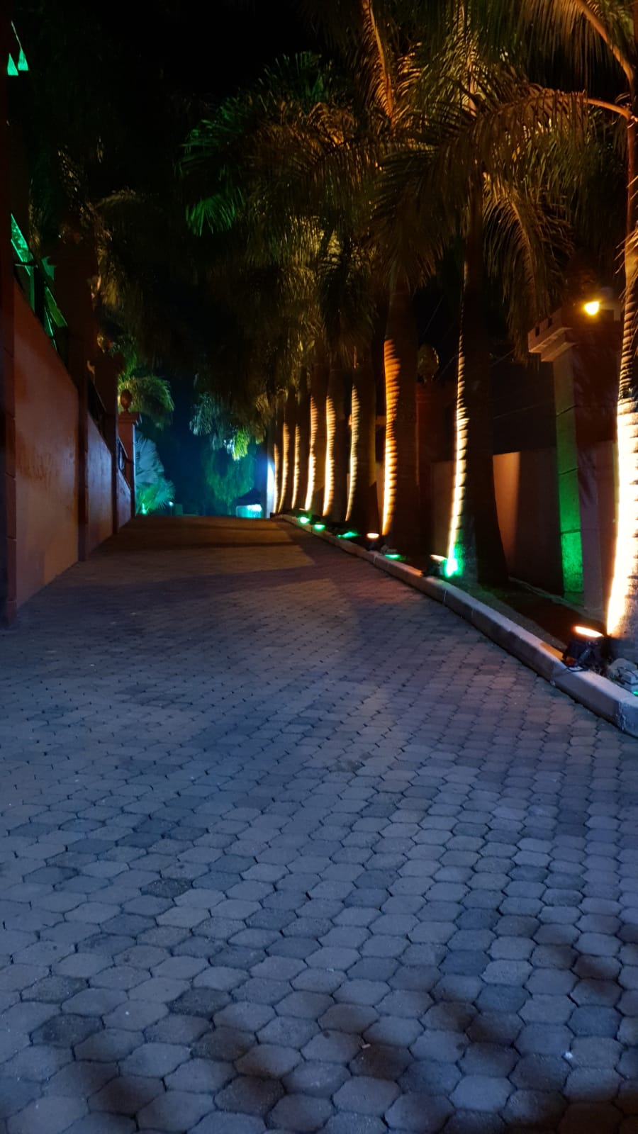 WhatsApp Image 2022-05-01 at 18.58.00.jpeg