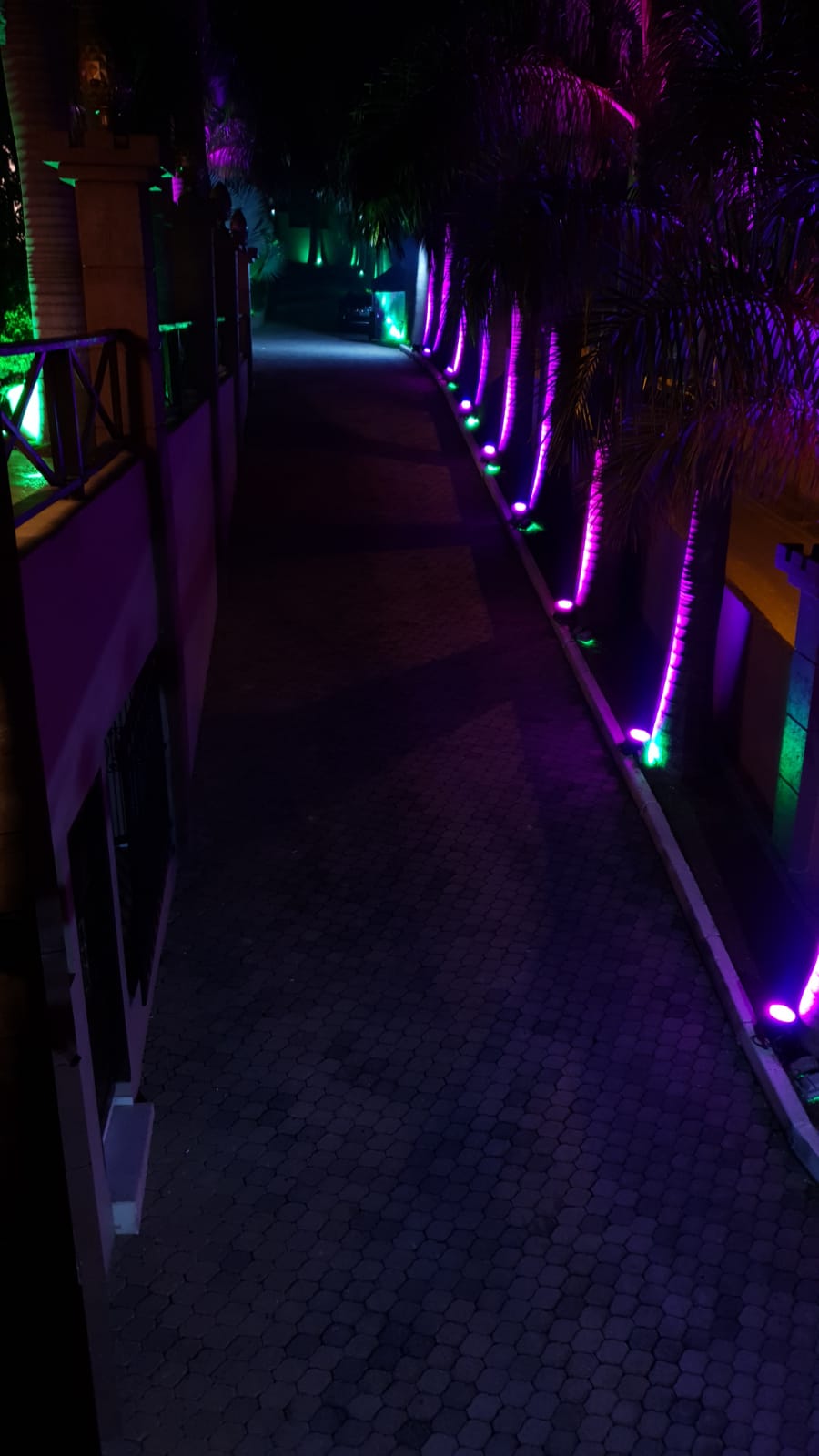 WhatsApp Image 2022-05-01 at 18.57.56.jpeg